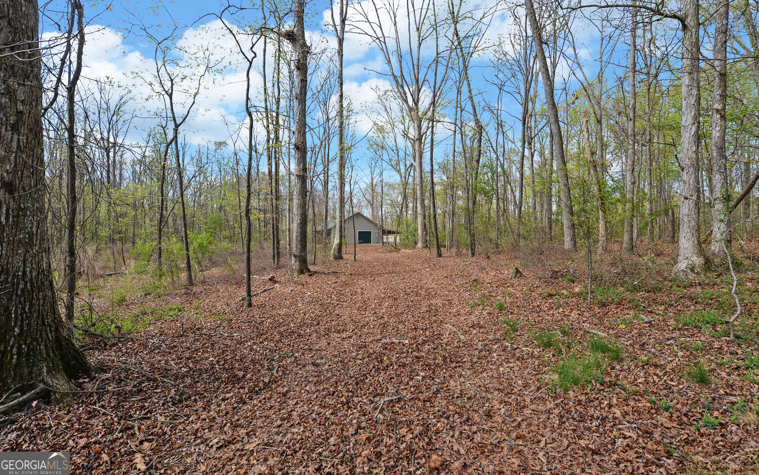 197 Woodland Way Property Photo 69