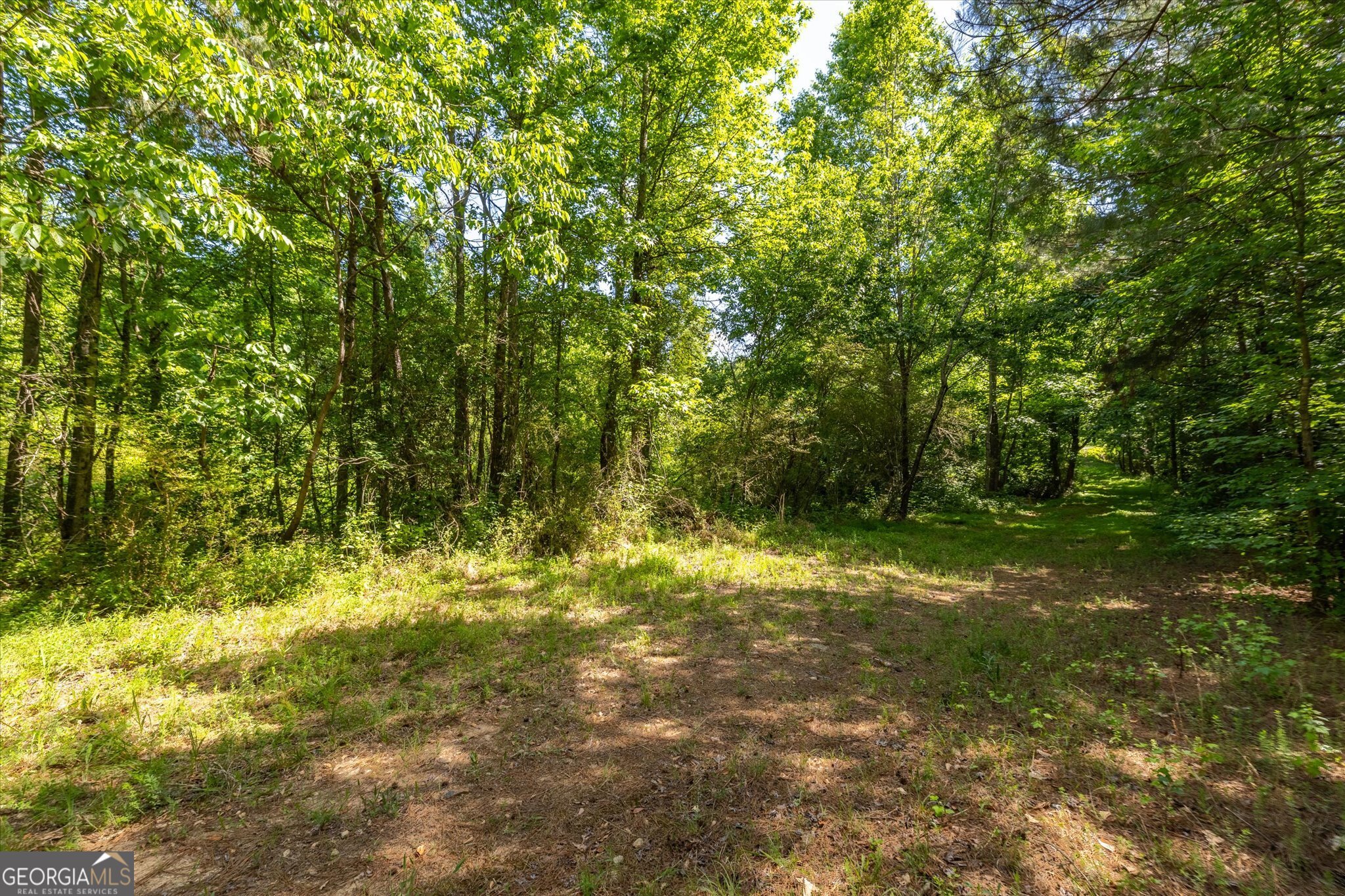 0 Gene Bell Road Property Photo 2