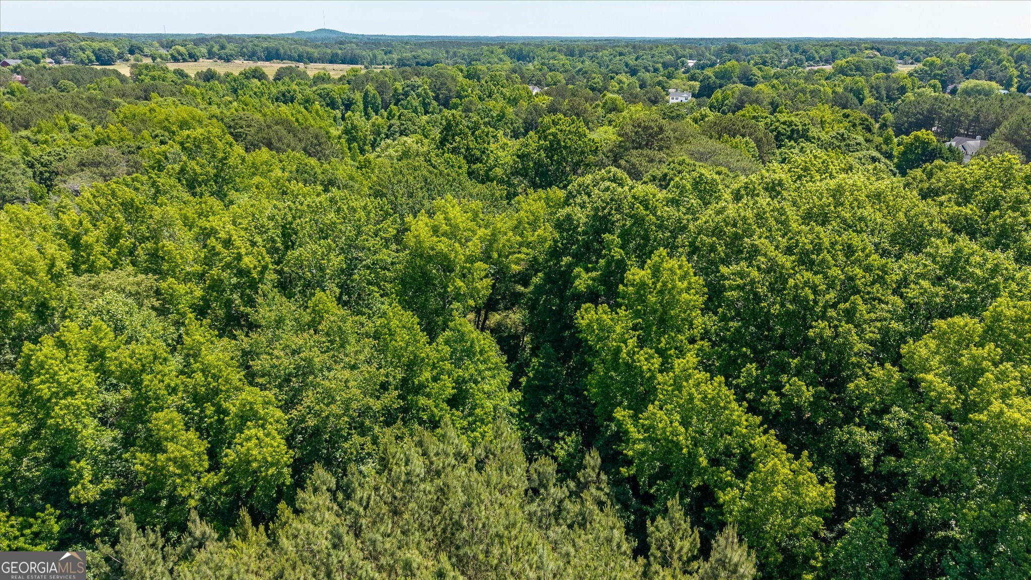 0 Gene Bell Road Property Photo 19