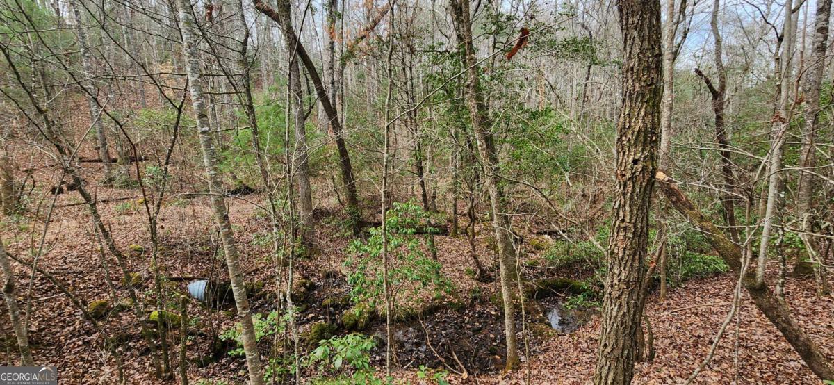 Lot 18 Gray Fox Trail Property Photo 1