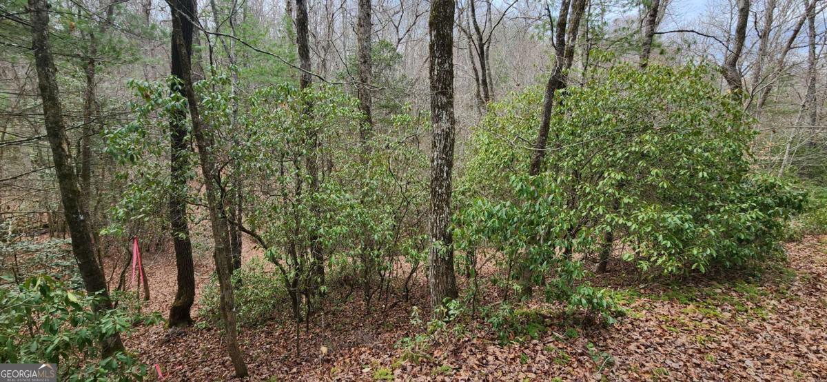 Lot 18 Gray Fox Trail Property Photo 6