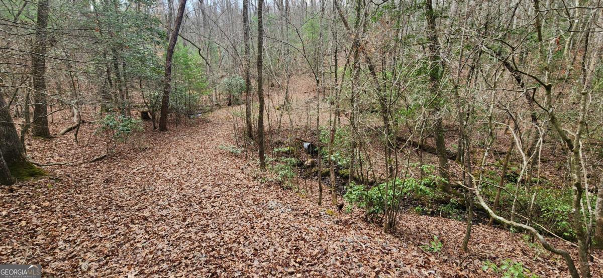 Lot 18 Gray Fox Trail Property Photo 7