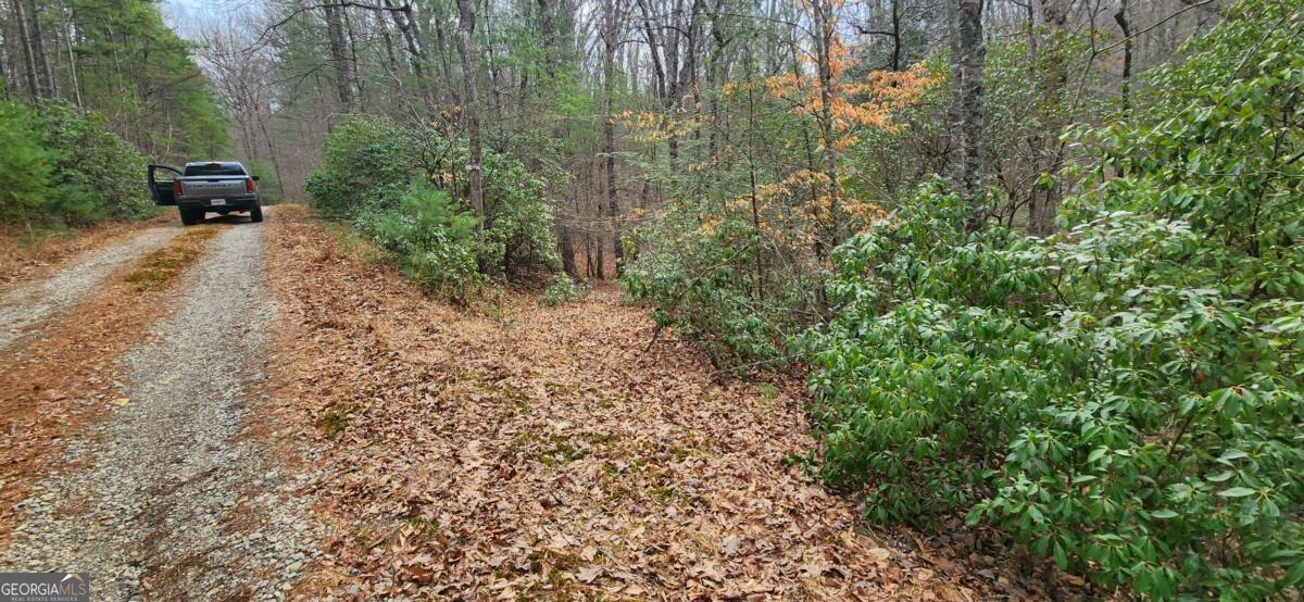 Lot 18 Gray Fox Trail Property Photo 8