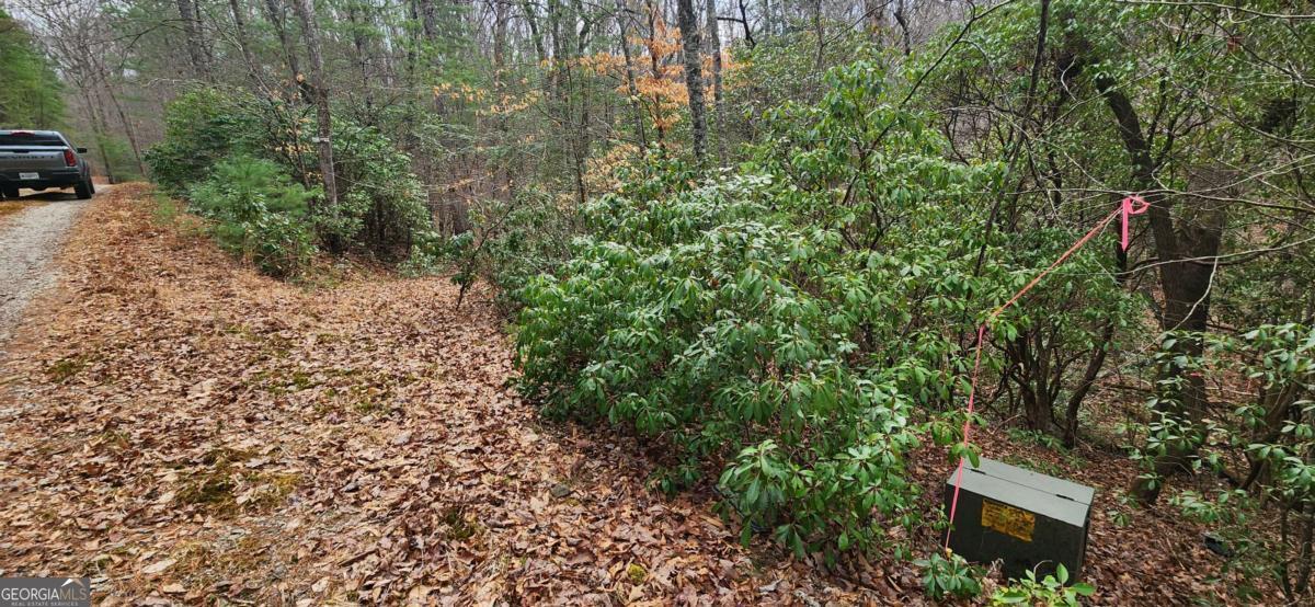 Lot 18 Gray Fox Trail Property Photo 10