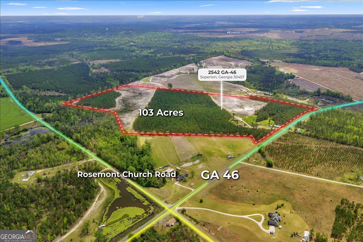 2542 Ga Highway 46 Property Photo 1