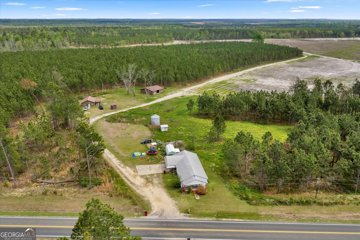 2542 Ga Highway 46 Property Photo 8
