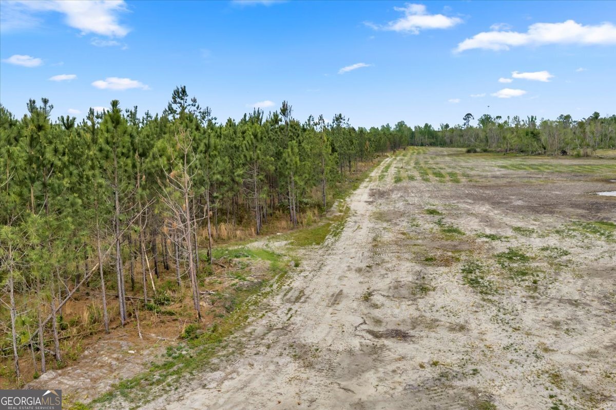 2542 Ga Highway 46 Property Photo 13