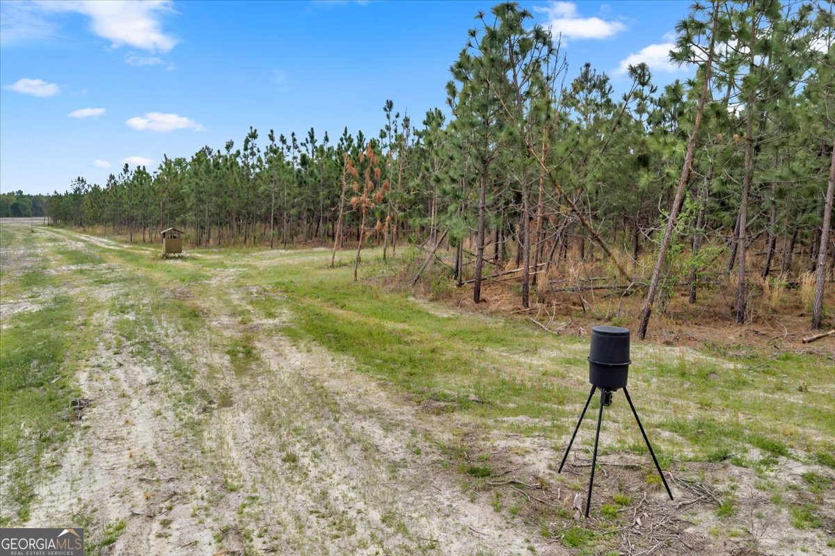 2542 Ga Highway 46 Property Photo 14