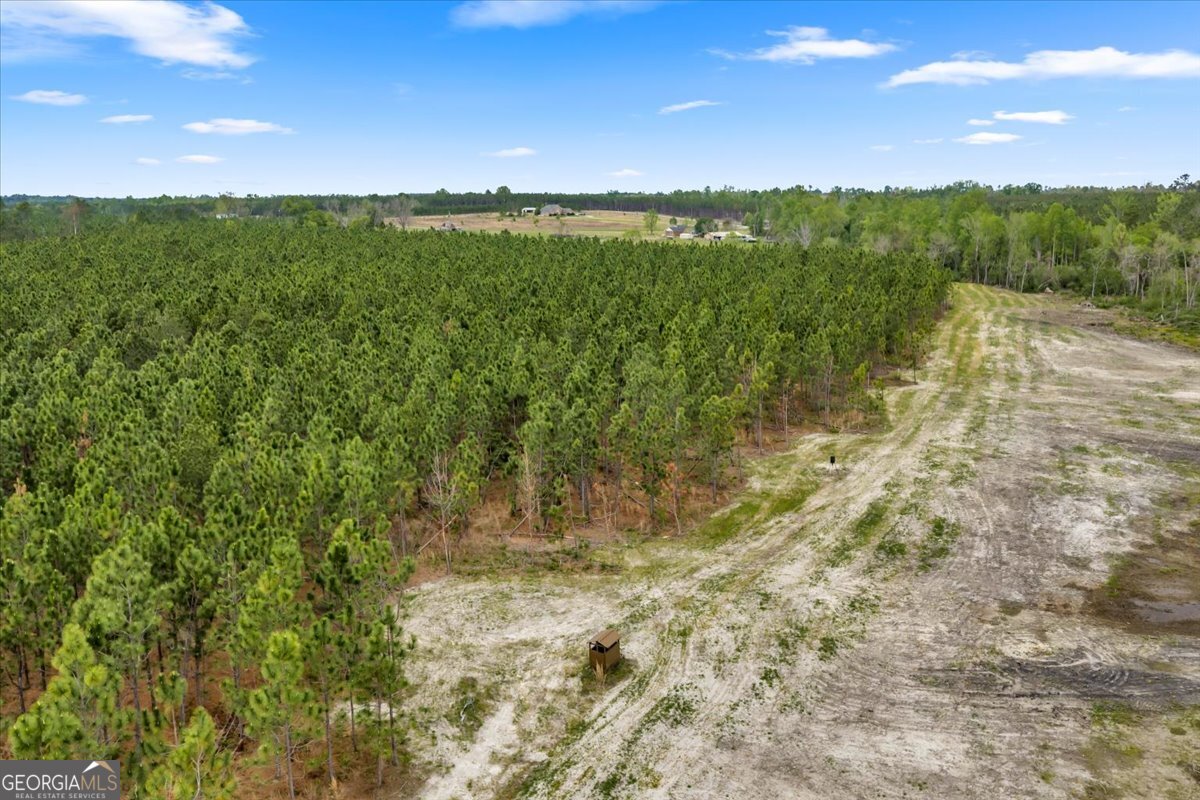 2542 Ga Highway 46 Property Photo 15