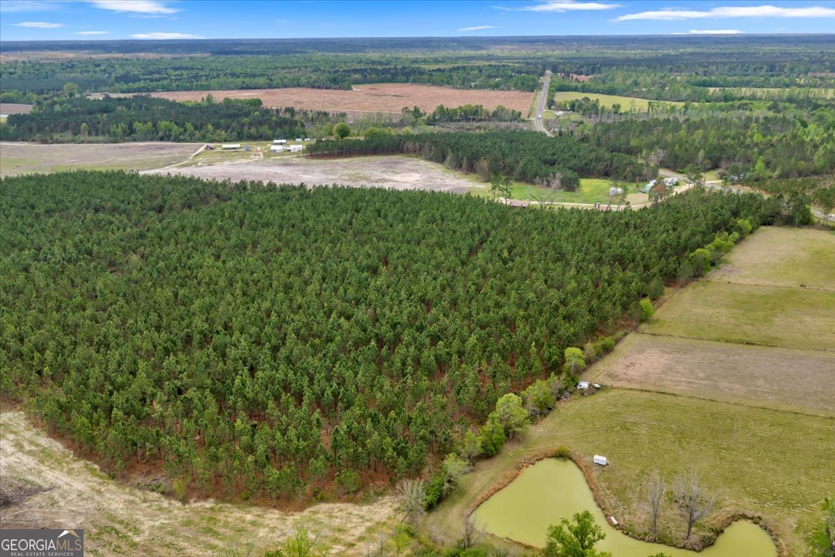2542 Ga Highway 46 Property Photo 17