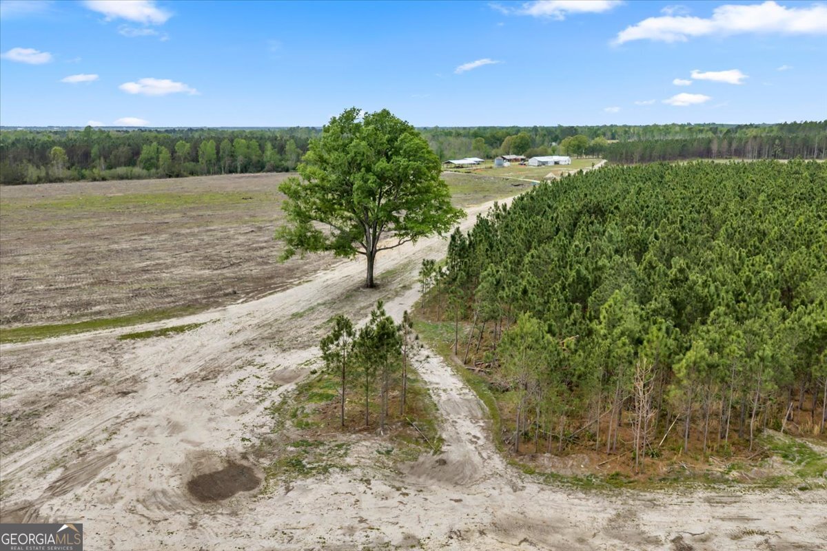 2542 Ga Highway 46 Property Photo 23