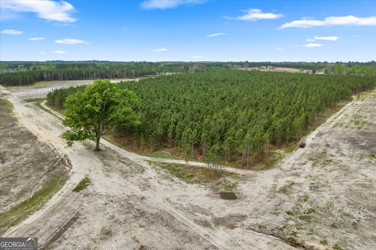 2542 Ga Highway 46 Property Photo 24