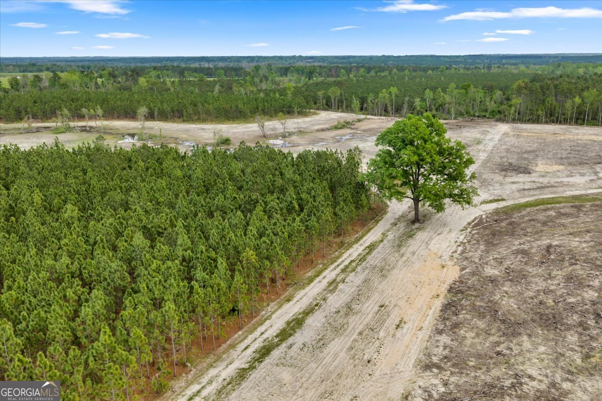 2542 Ga Highway 46 Property Photo 25