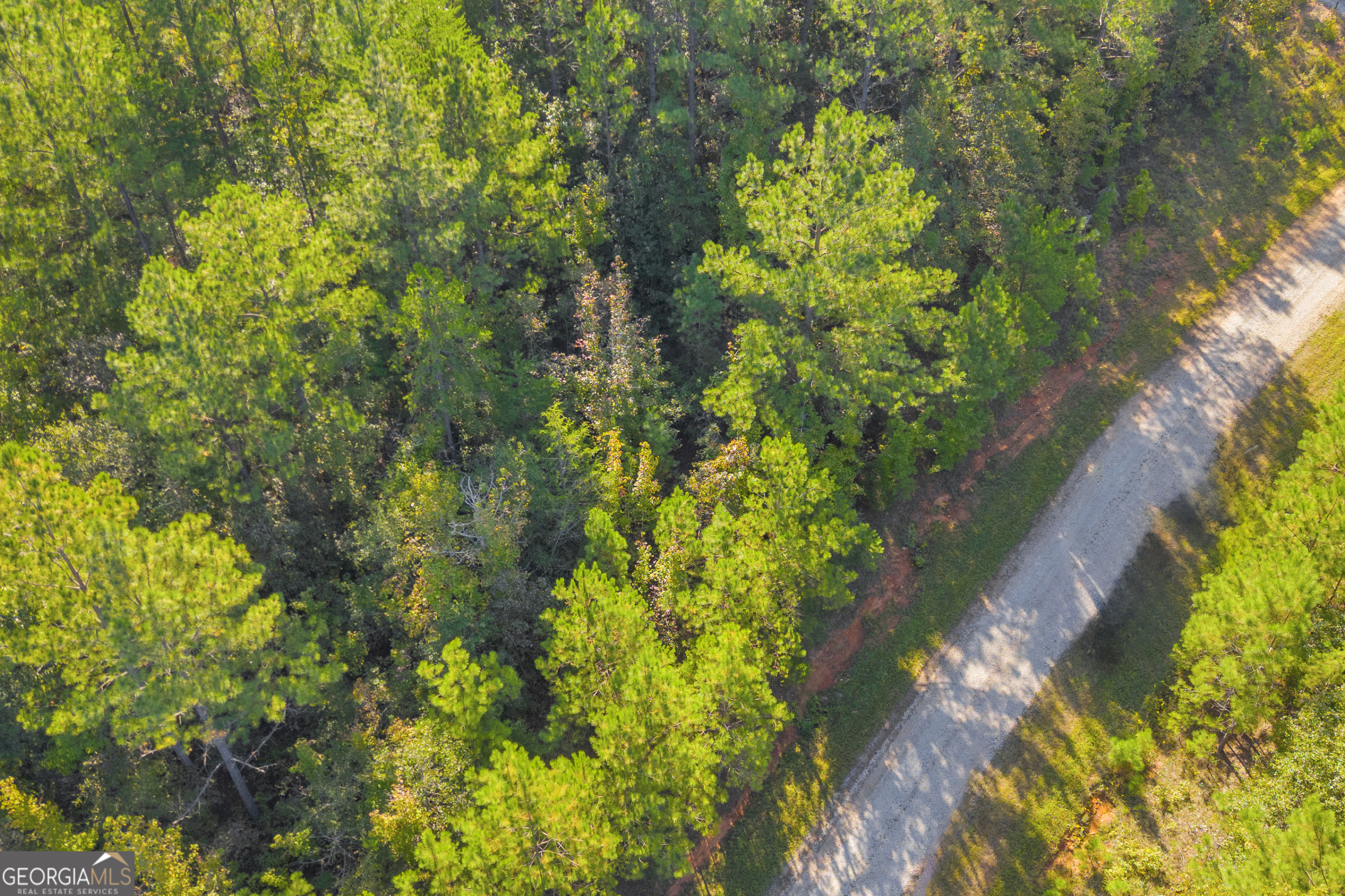 0 Long Pine Lane Lot 13 Property Photo 3