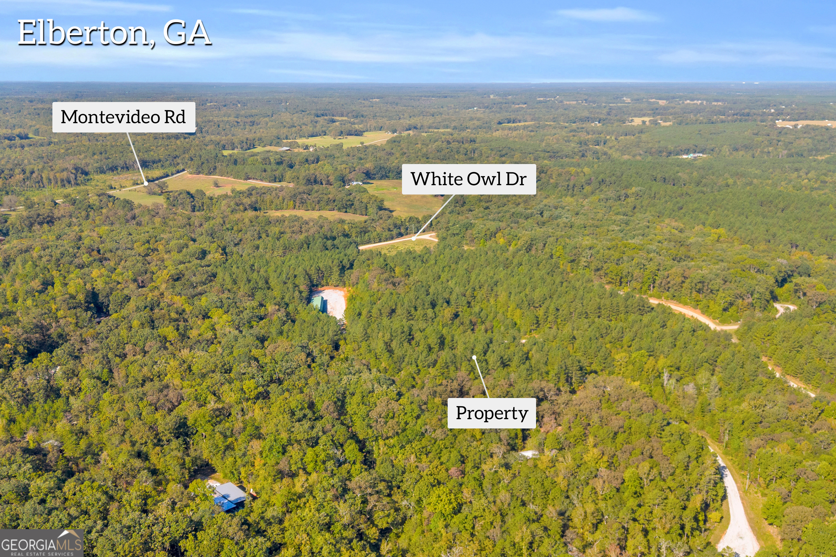 0 Long Pine Lane Lot 13 Property Photo 12