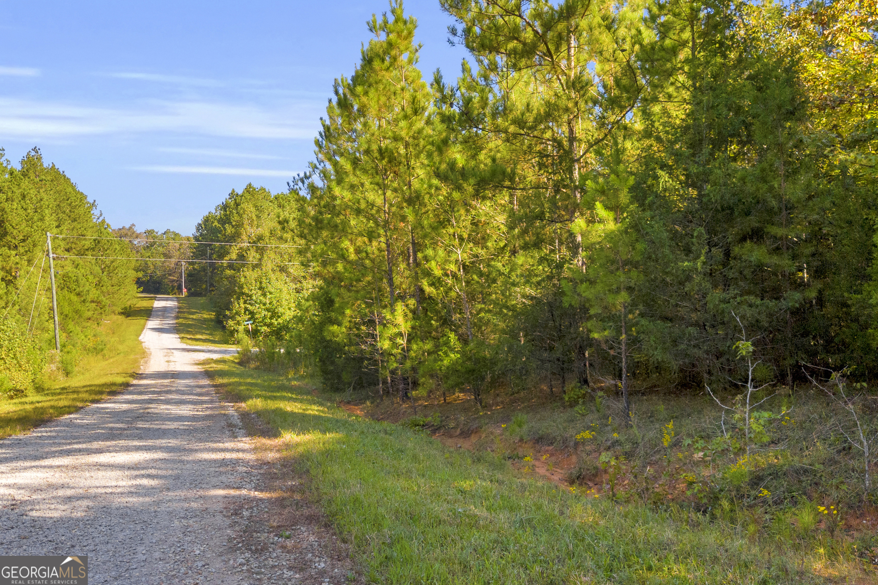 0 Long Pine Lane Lot 13 Property Photo 20