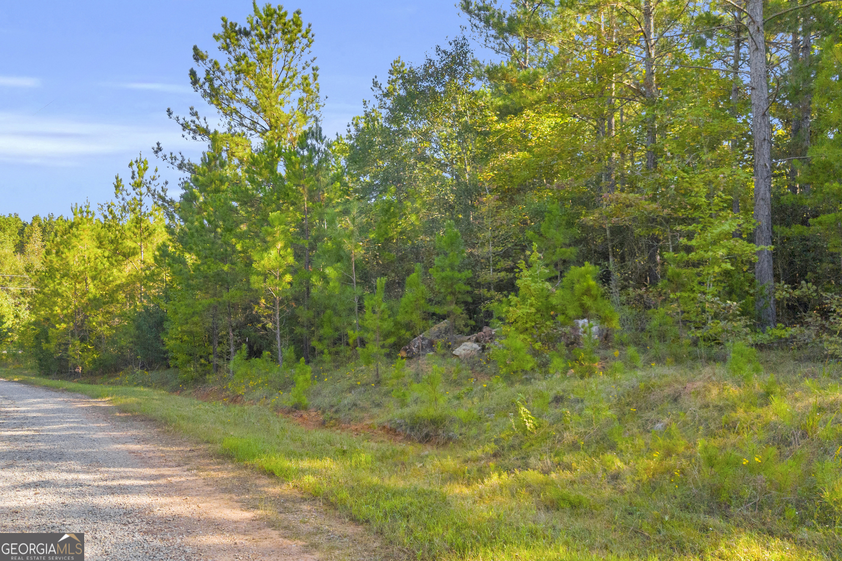 0 Long Pine Lane Lot 13 Property Photo 21