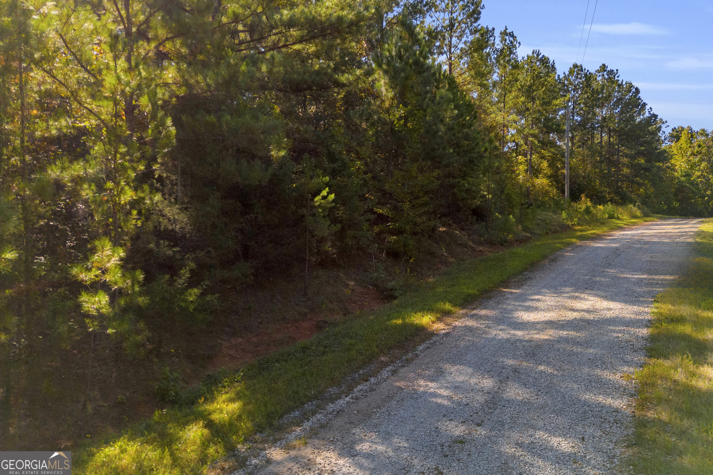 0 Long Pine Lane Lot 13 Property Photo 22