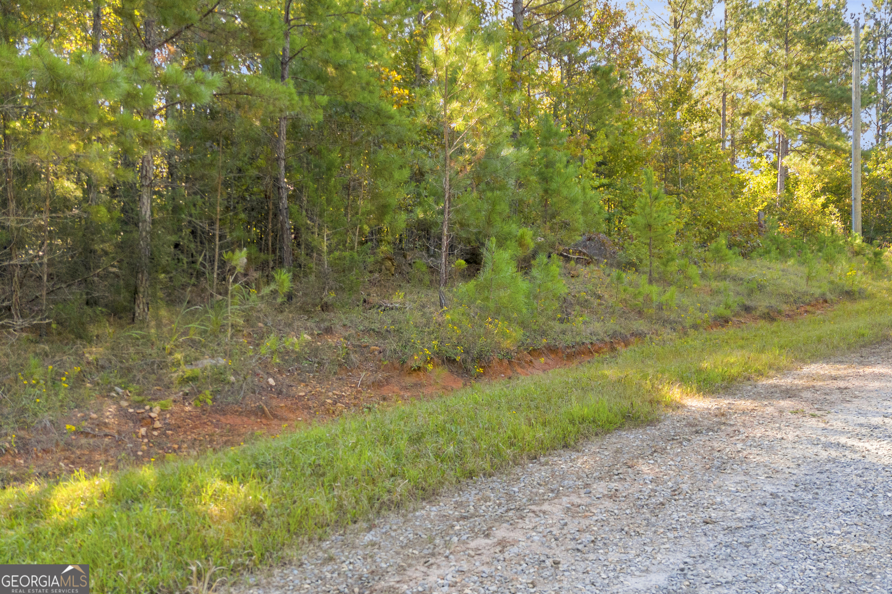 0 Long Pine Lane Lot 13 Property Photo 23