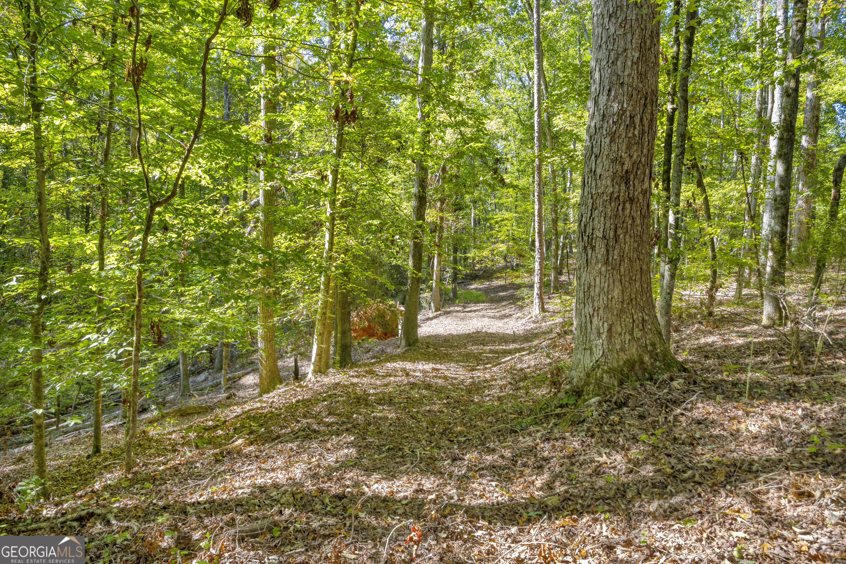 0 Long Pine Lane Lot 13 Property Photo 24