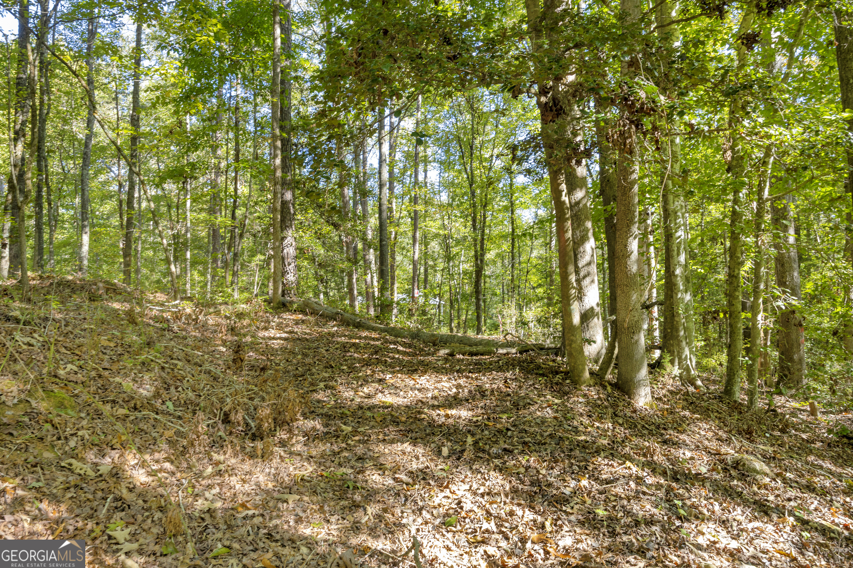 0 Long Pine Lane Lot 13 Property Photo 25