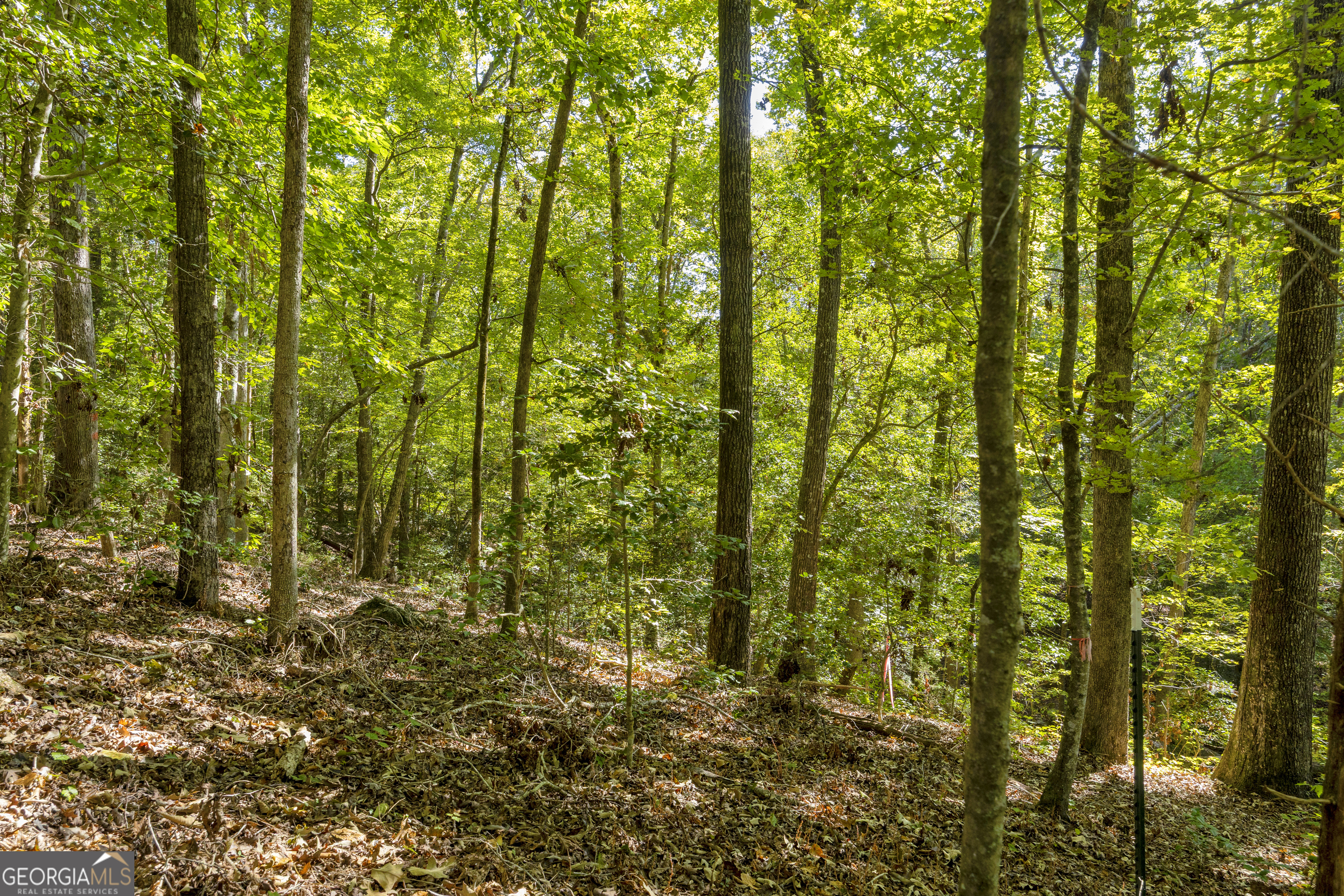 0 Long Pine Lane Lot 13 Property Photo 26