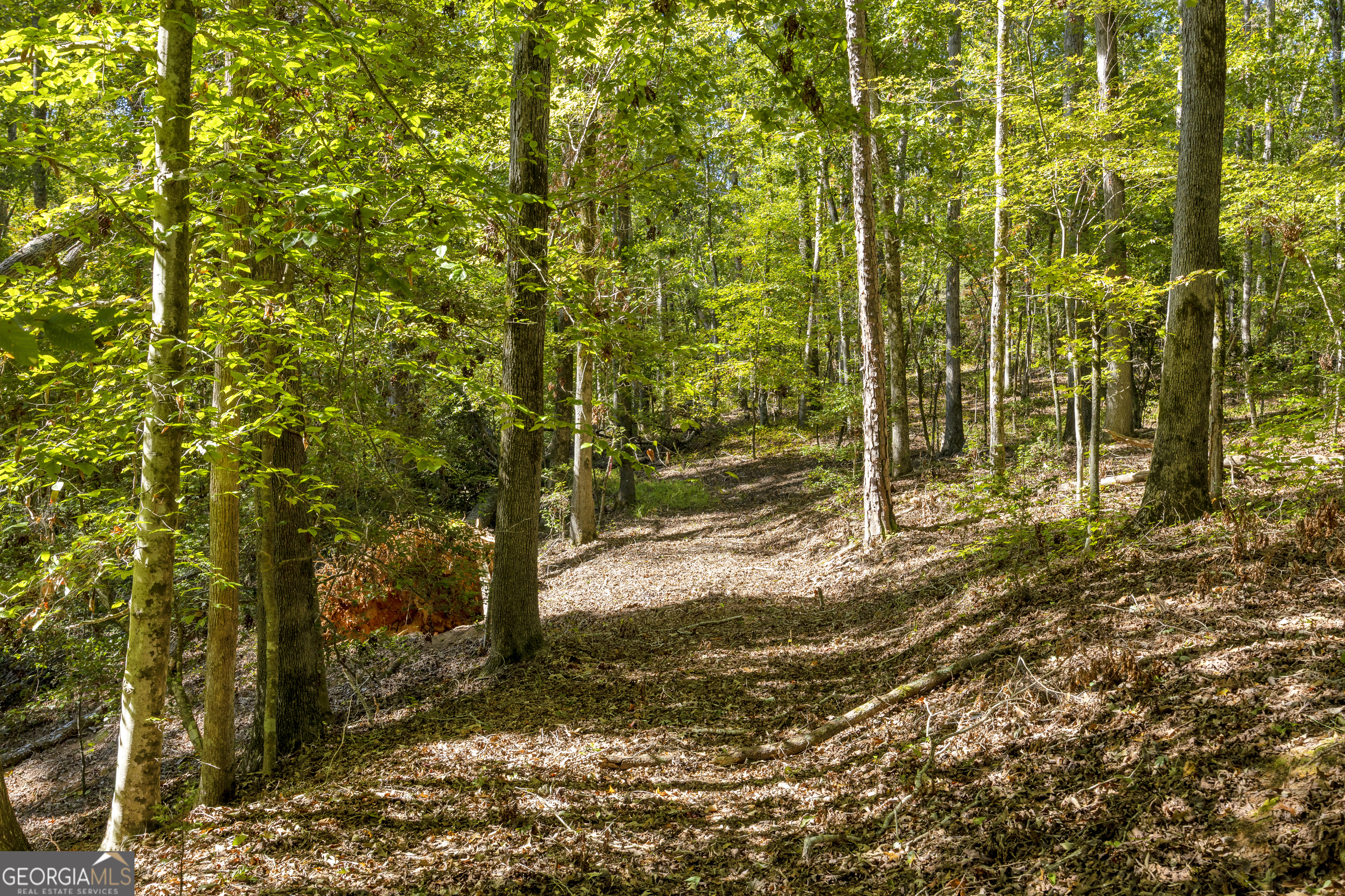 0 Long Pine Lane Lot 13 Property Photo 27