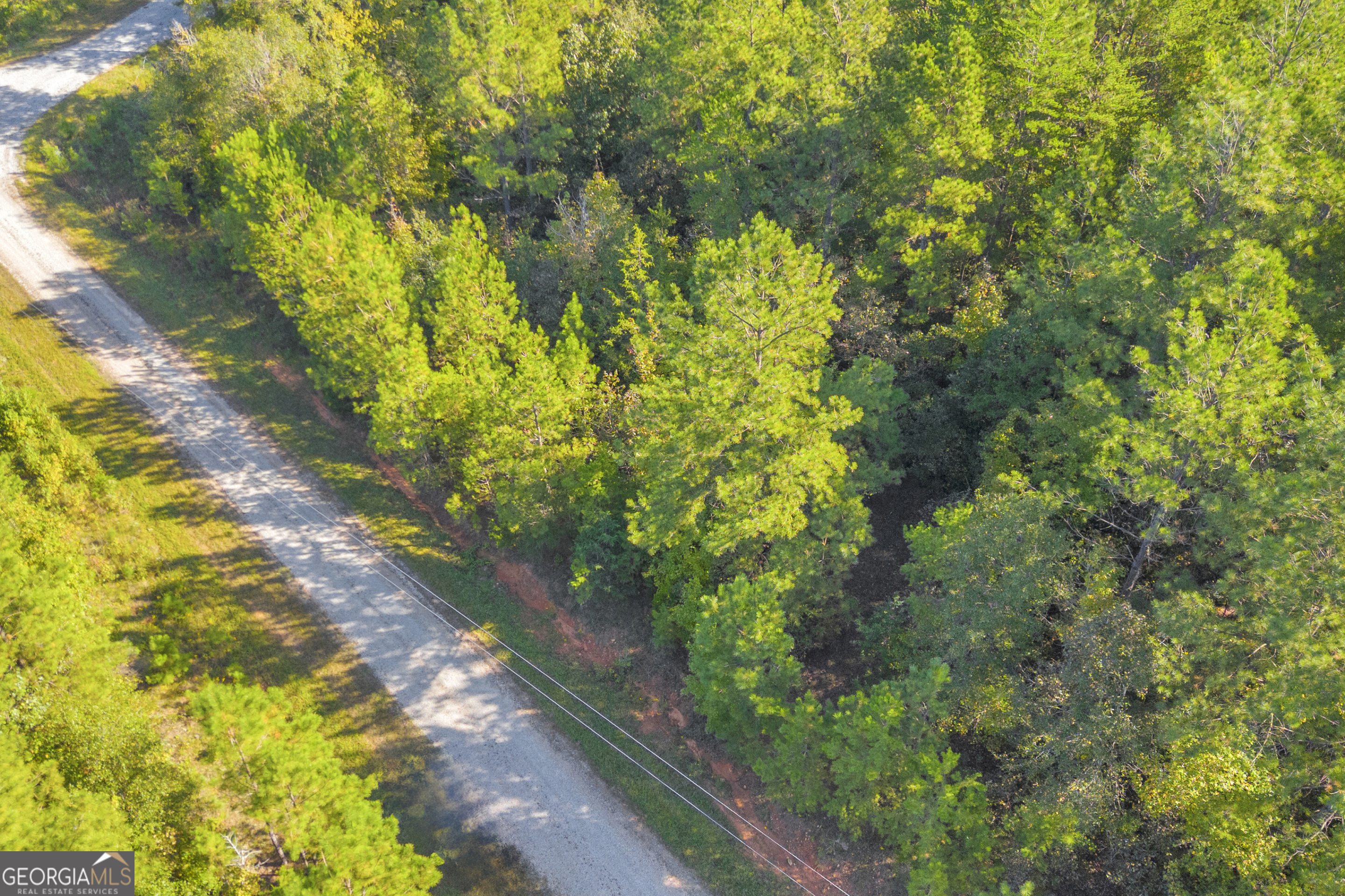 0 Long Pine Lane Lot 13 Property Photo 28