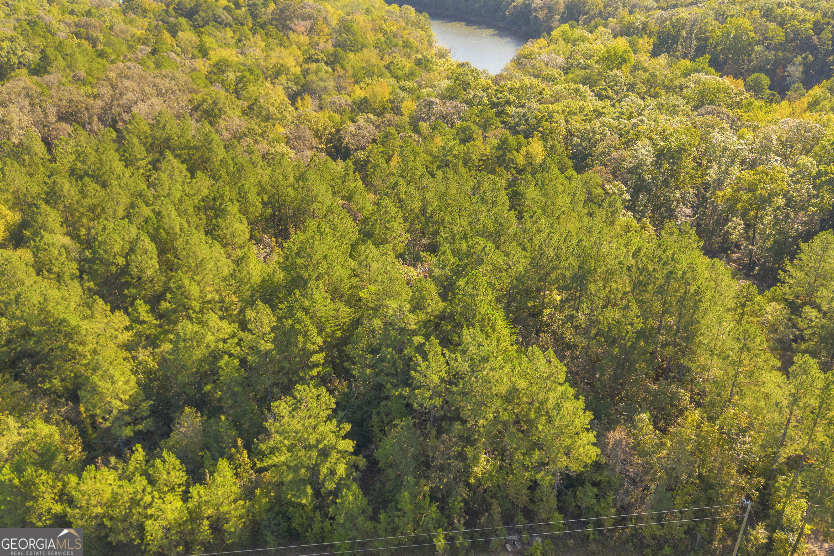 0 Long Pine Lane Lot 13 Property Photo 29