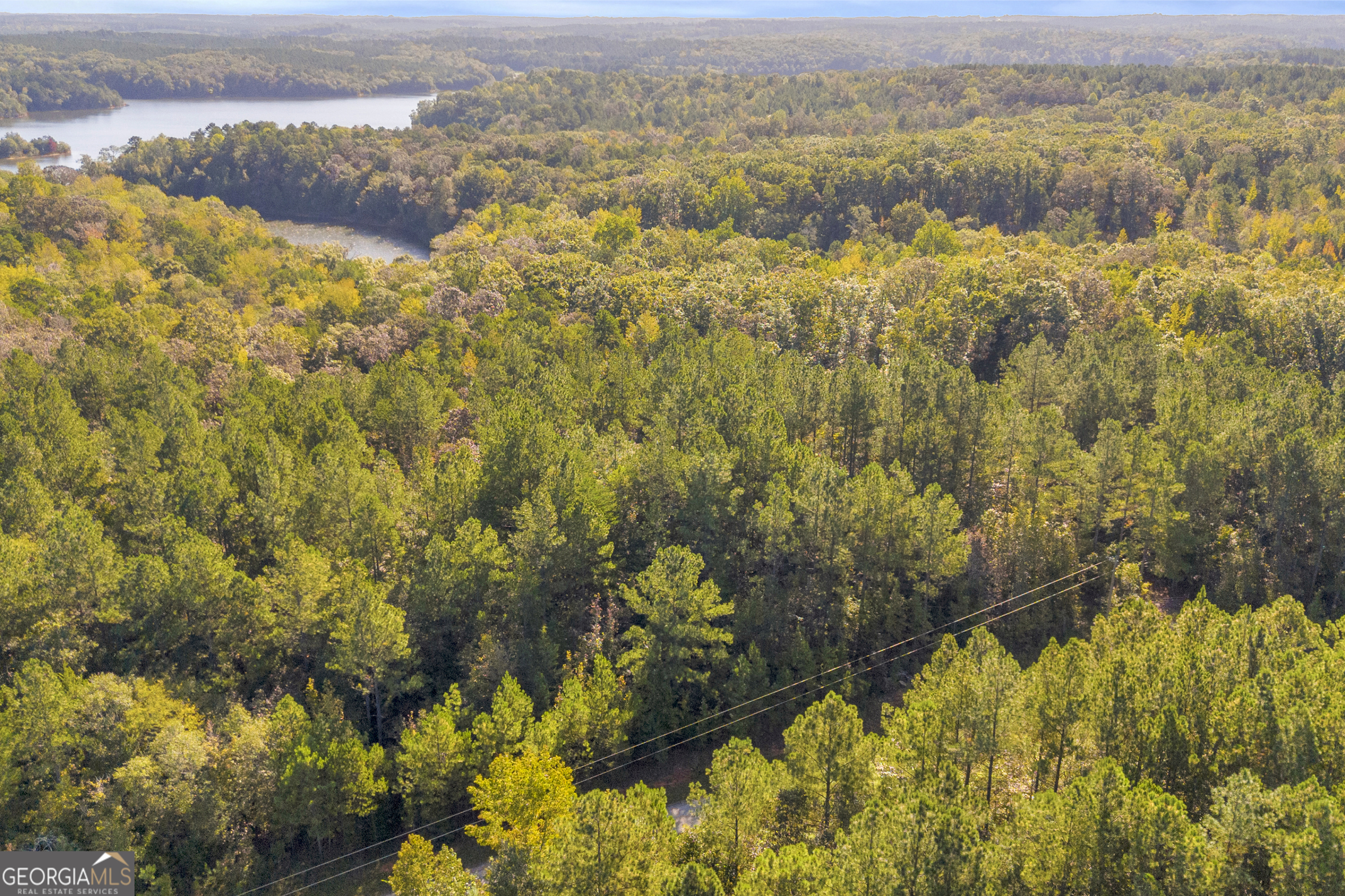 0 Long Pine Lane Lot 13 Property Photo 31