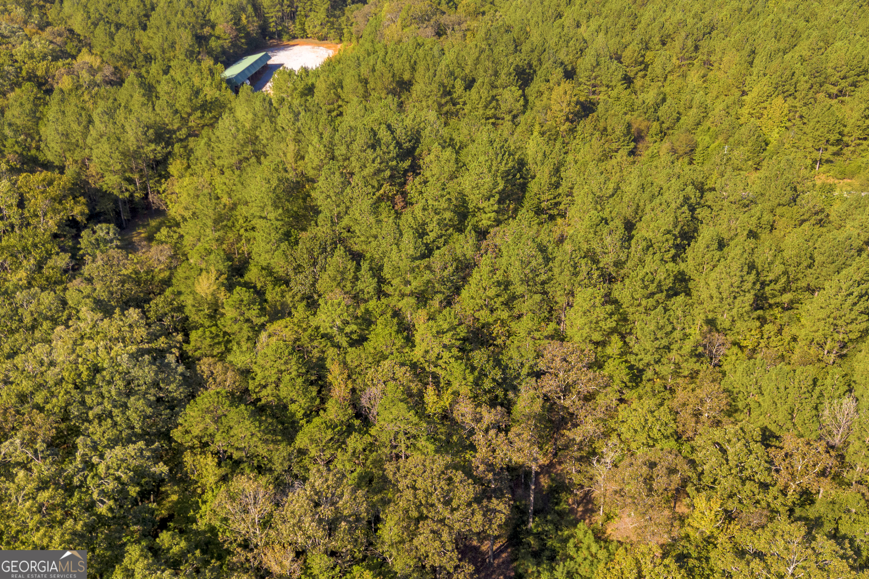 0 Long Pine Lane Lot 13 Property Photo 32