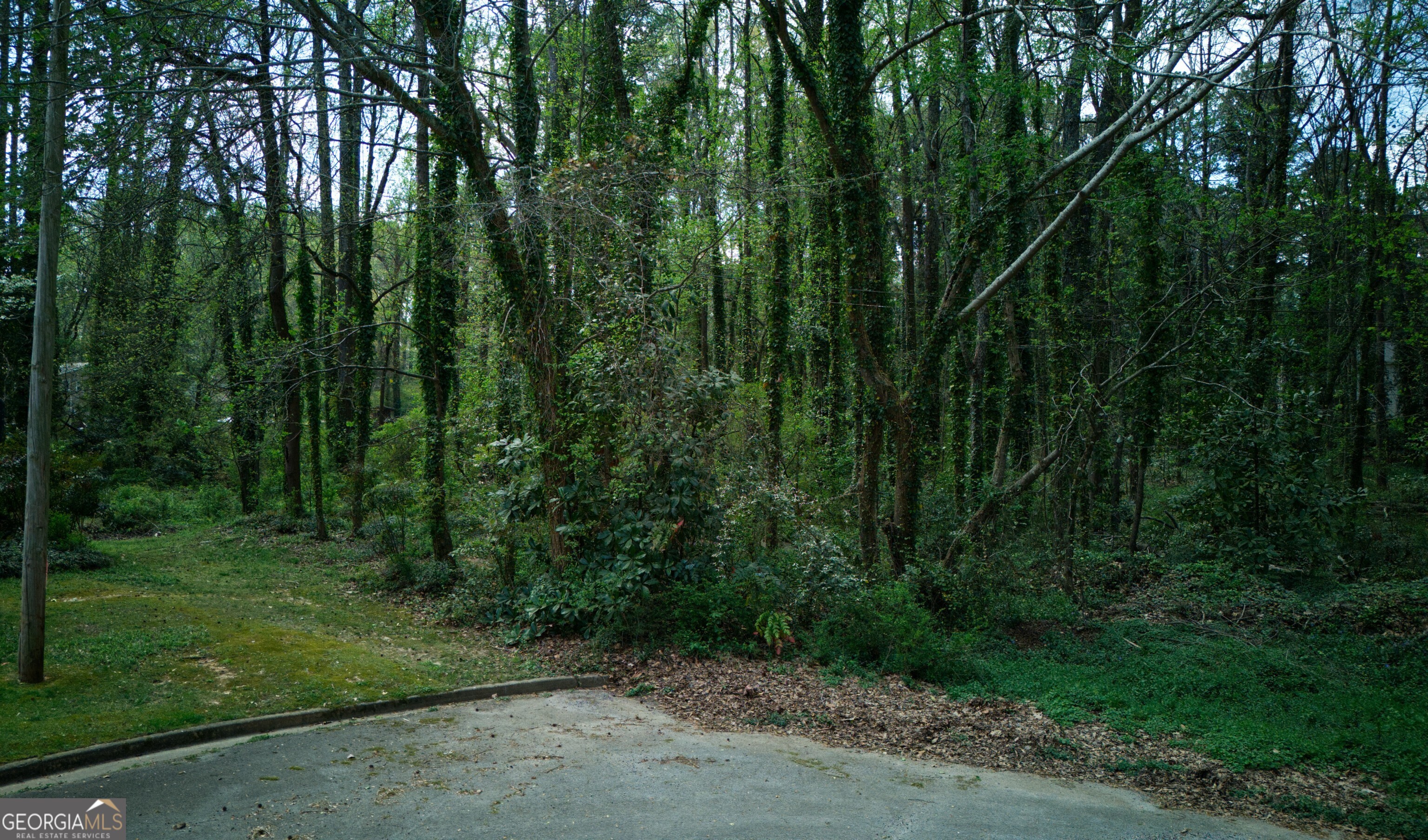 6409 Gids Court Property Photo 2