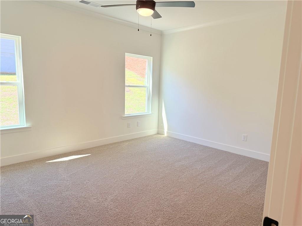 242 Thunder Valley Property Photo 18