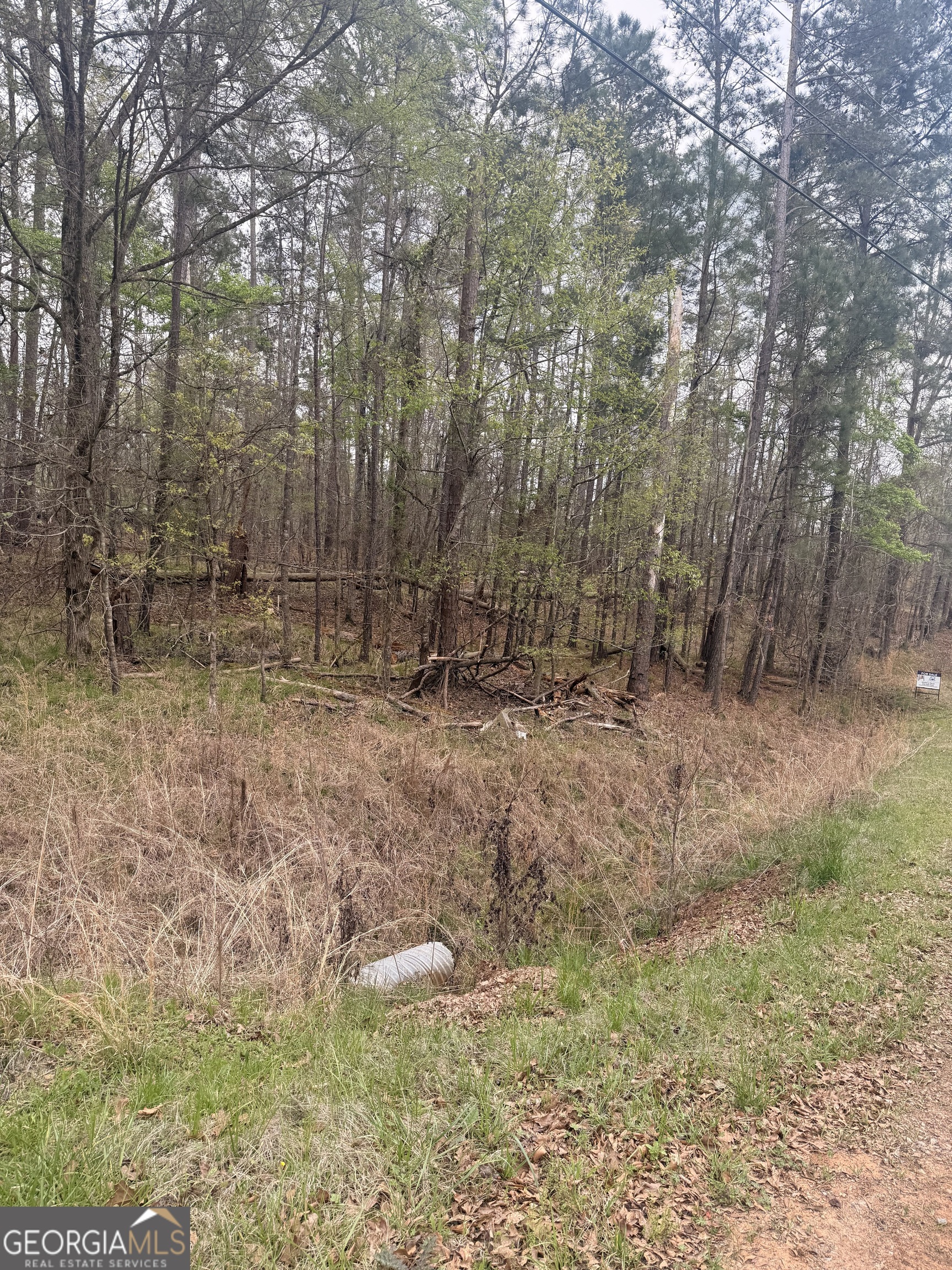 0 Rosedud Court Property Photo 1