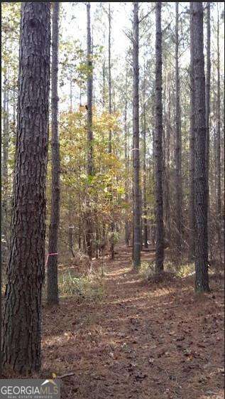 1047 Ponder Trammell Road Property Photo 1