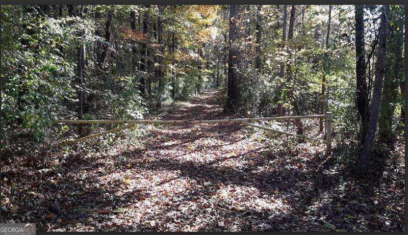 1047 Ponder Trammell Road Property Photo 2