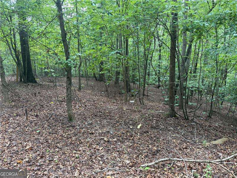 140 Joe Green Lane Property Photo 1