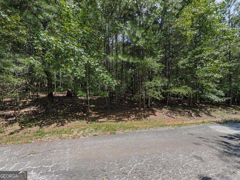 140 Joe Green Lane Property Photo 4