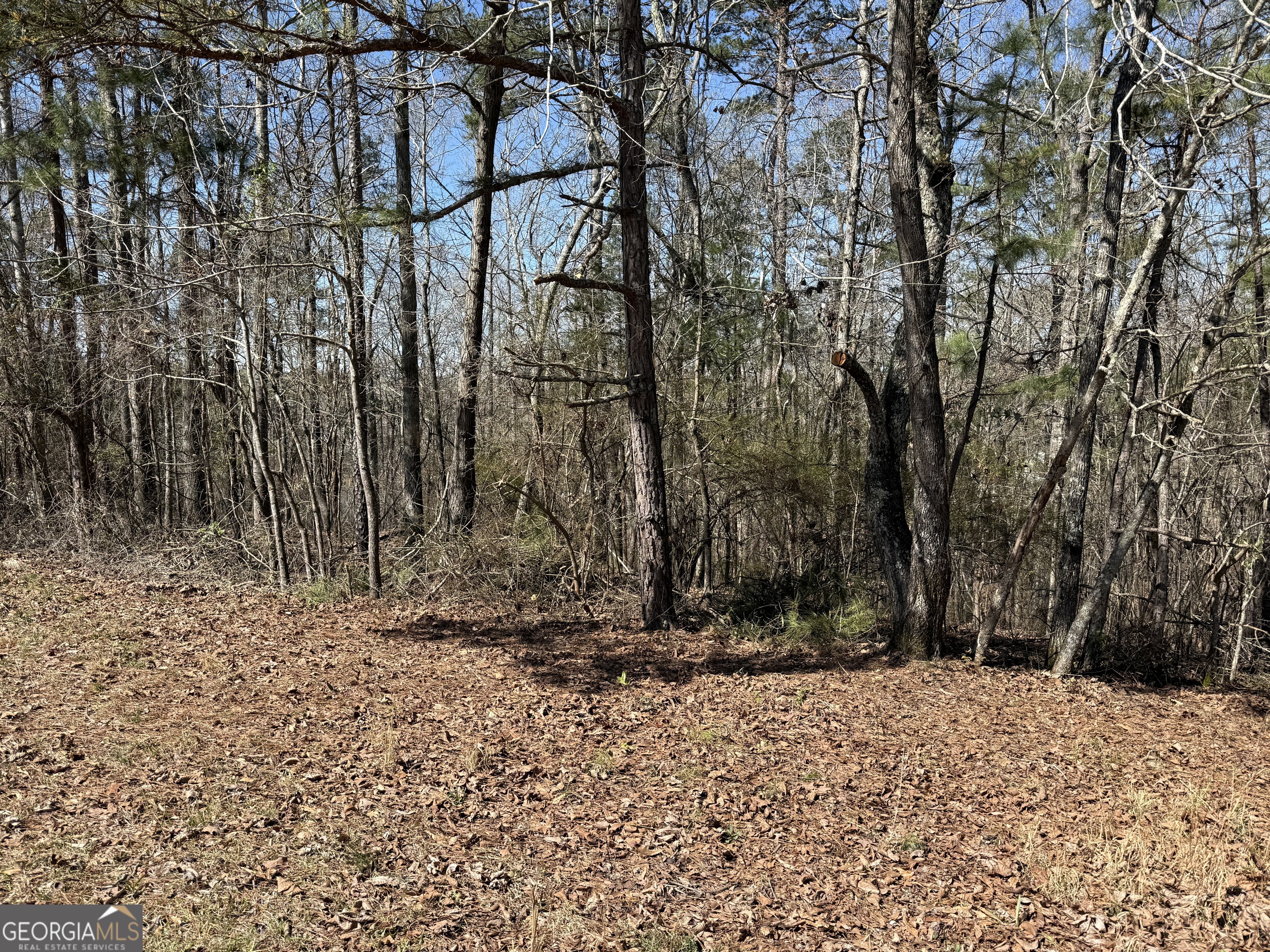 0 Muffit Drive Property Photo 5