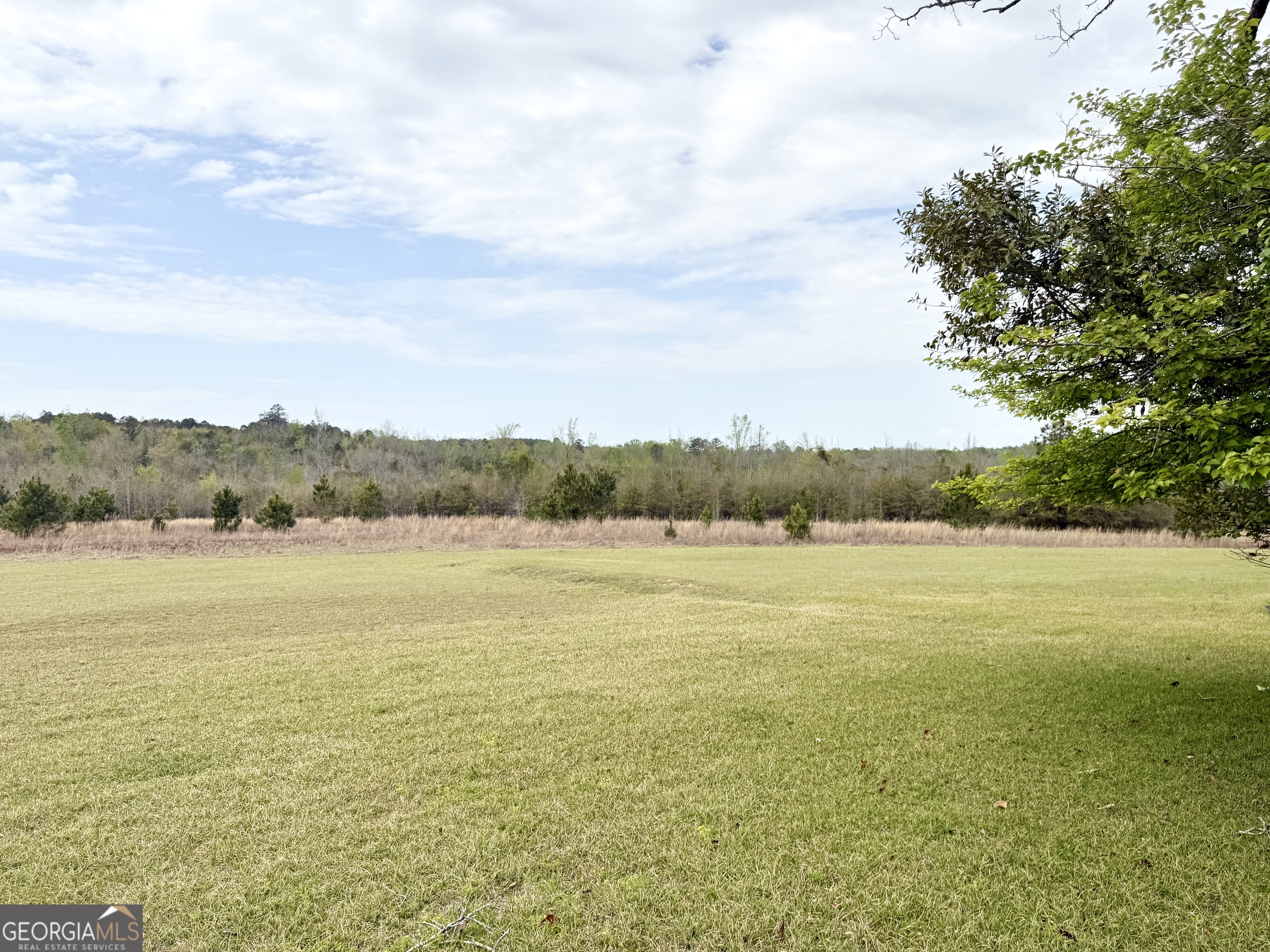 2235 Long Branch Road Property Photo 8