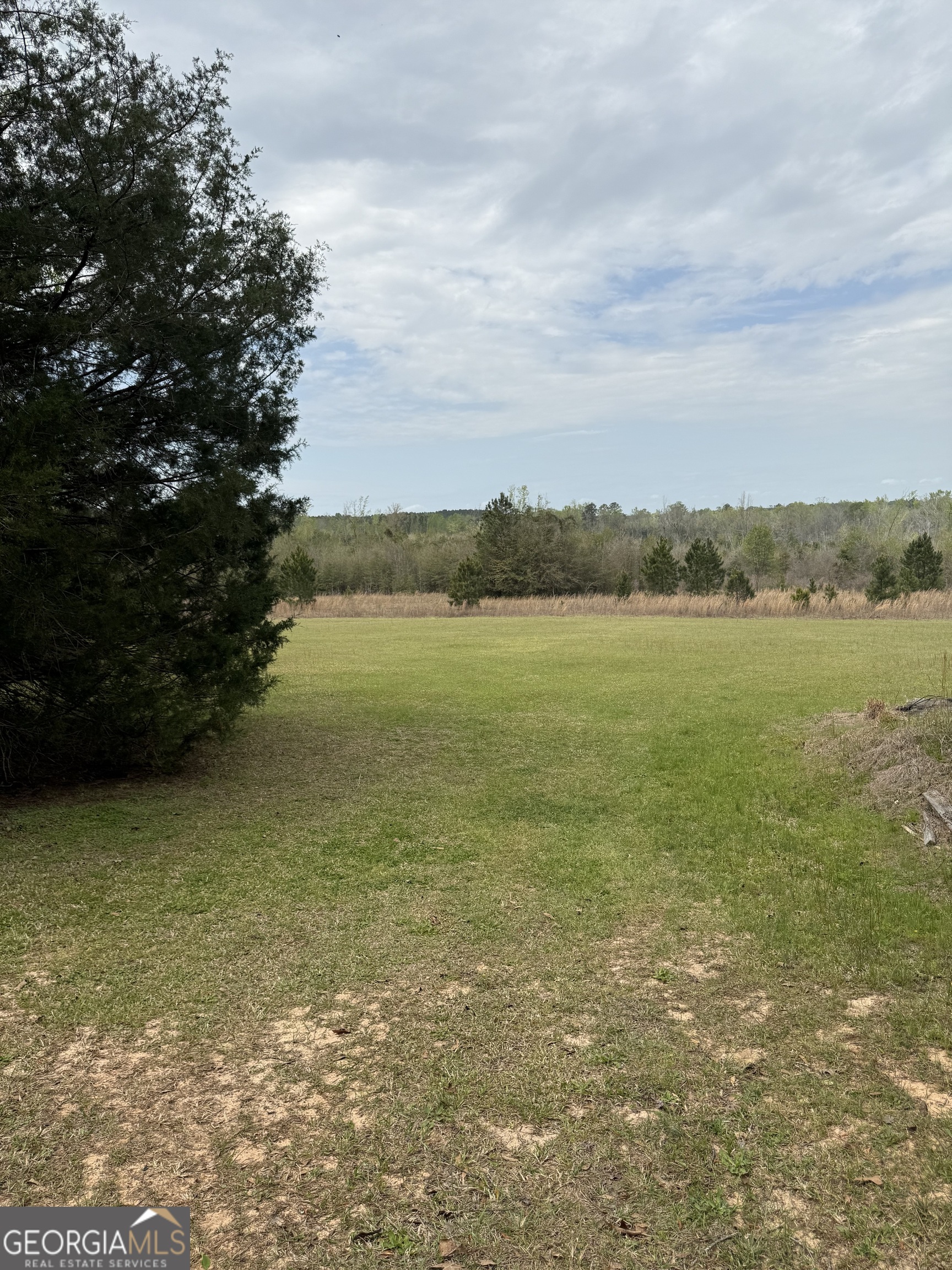 2235 Long Branch Road Property Photo 17