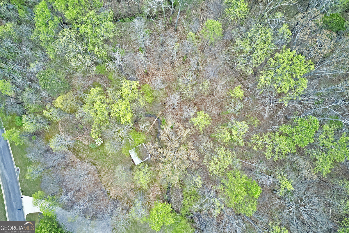 5720 Winding Rose Trail Property Photo 4