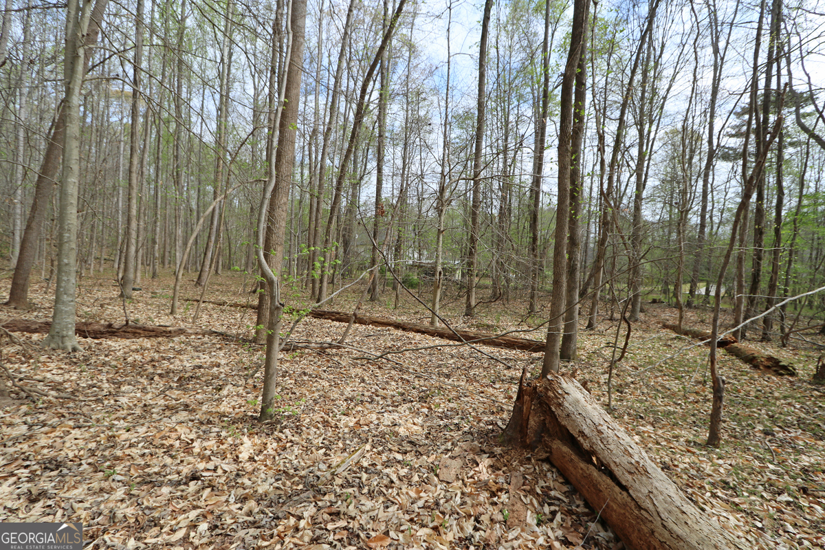 5720 Winding Rose Trail Property Photo 5