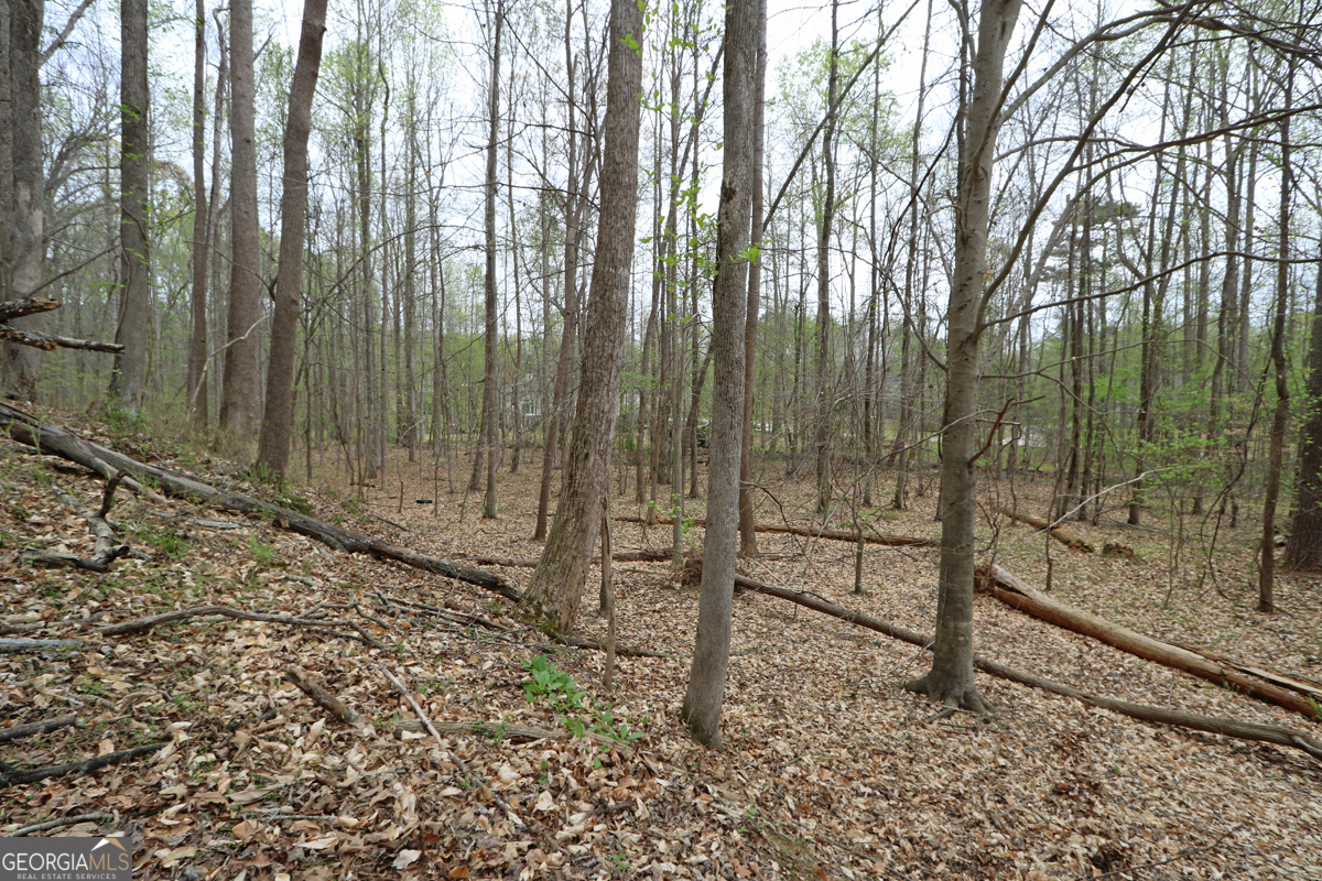 5720 Winding Rose Trail Property Photo 6