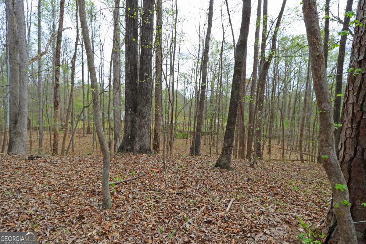 5720 Winding Rose Trail Property Photo 7