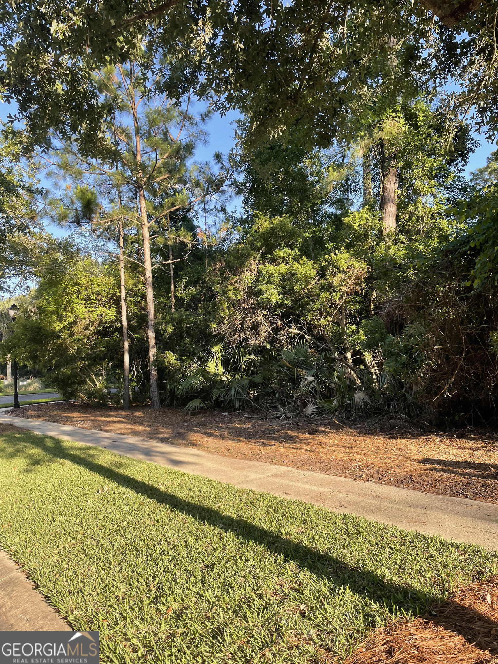 LOT 318 Charleston Way Property Photo 1