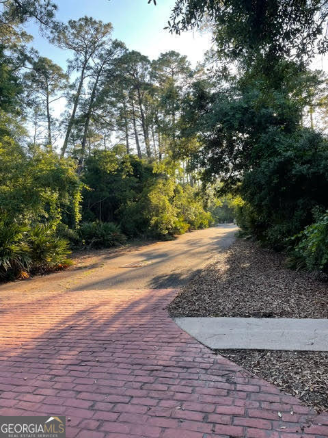 Lot 318 Charleston Way Property Photo 3