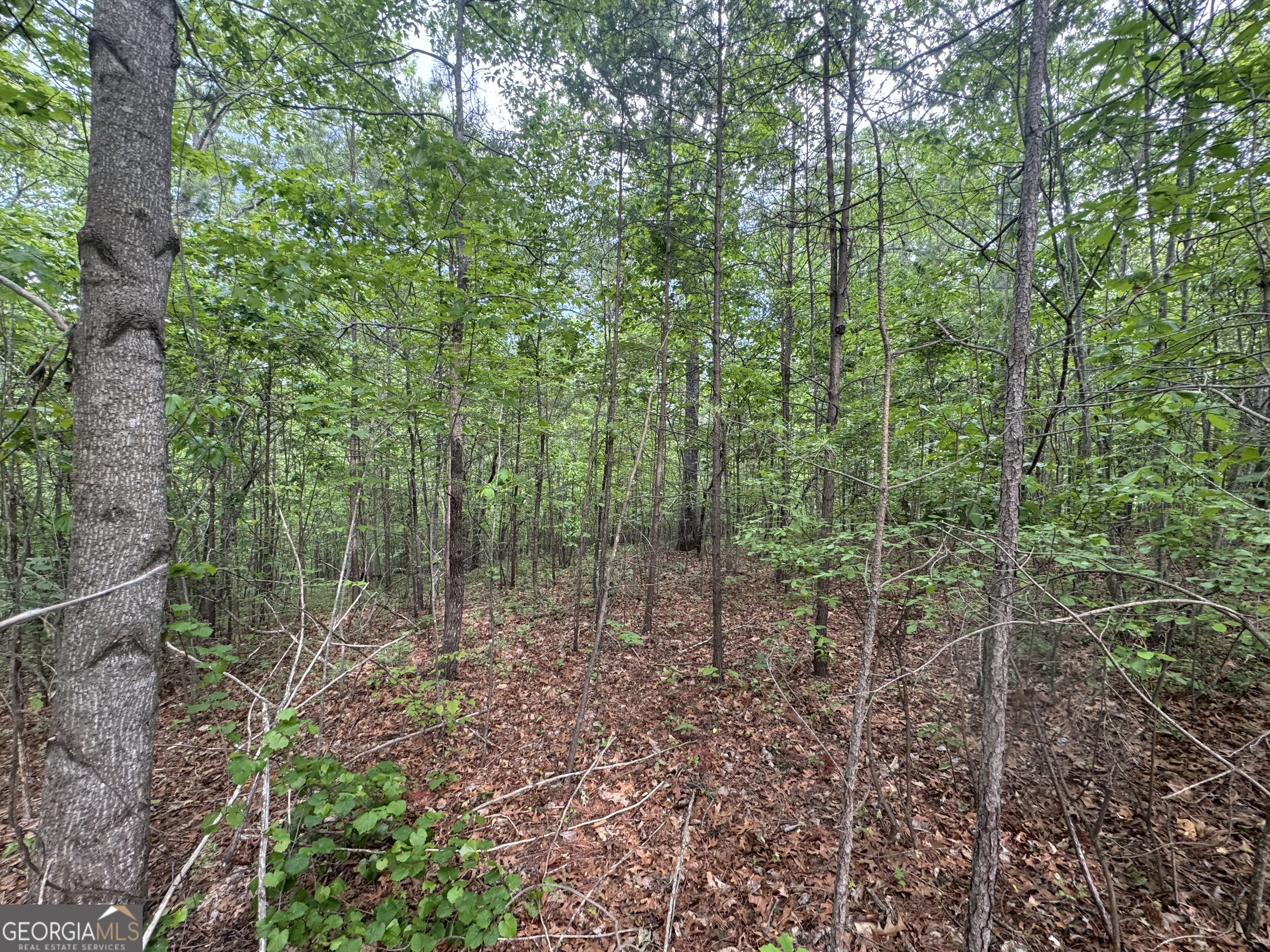 1786 Jones Mountain Road Property Photo 2