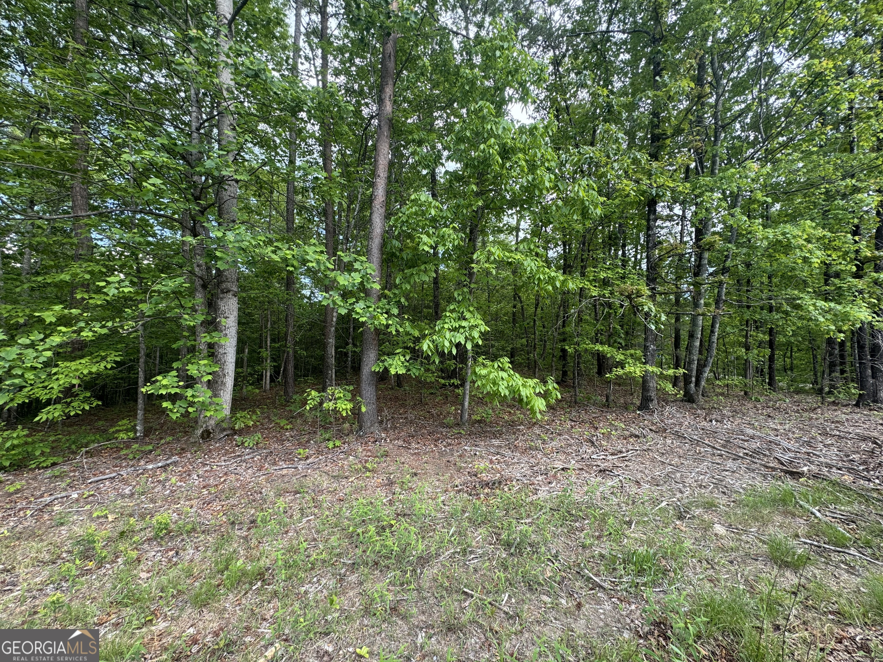1786 Jones Mountain Road Property Photo 4