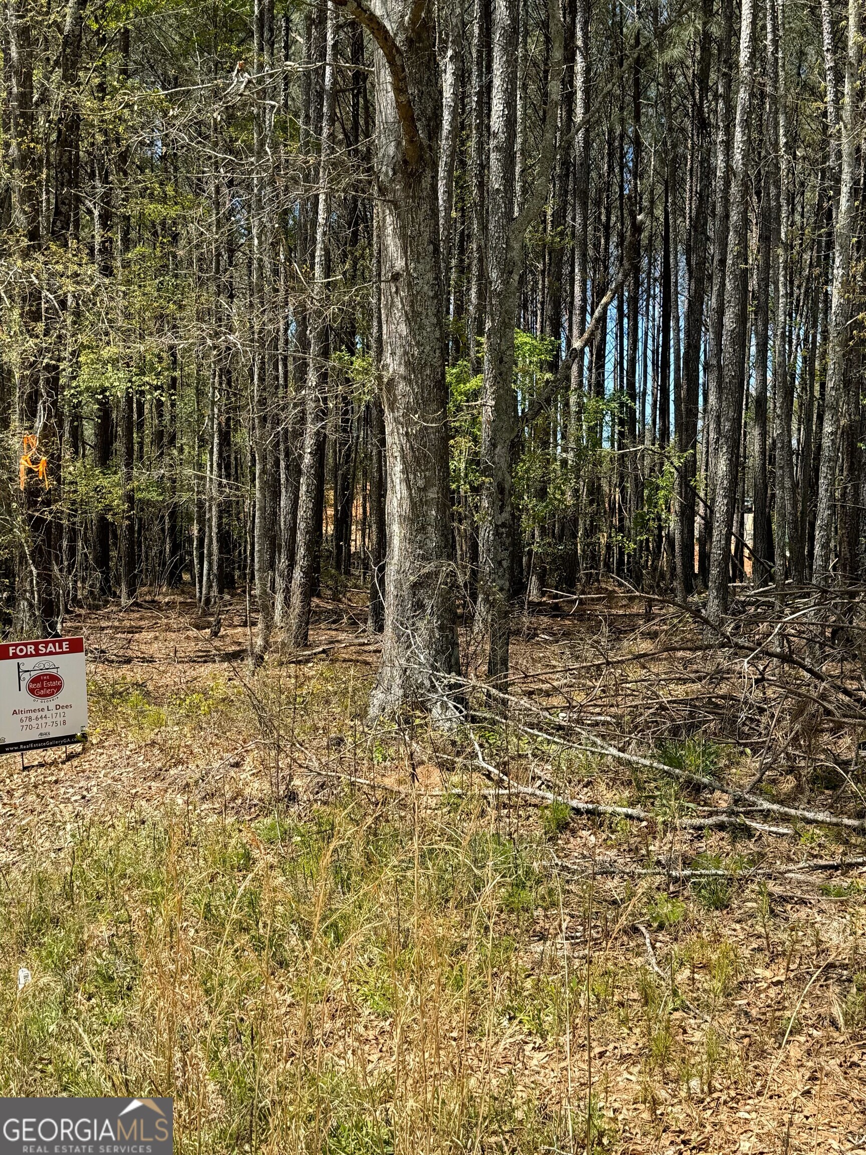 0 Etchison Spur Property Photo 2